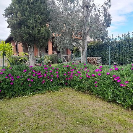 Agriturismo Santa Adriana Volterra Kültér fotó